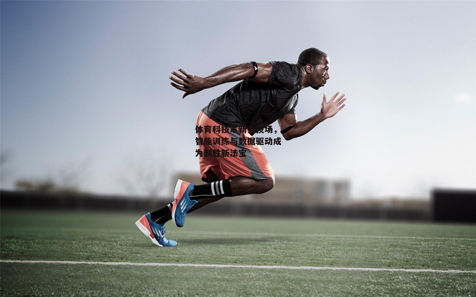 熊猫体育平台：体育科技革新竞技场，智能训练与数据驱动成为制胜新法宝